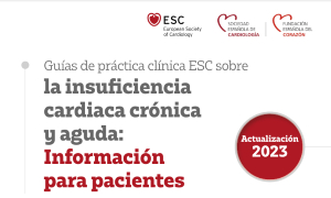 Guías ESC Image