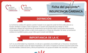 Ficha del paciente Image